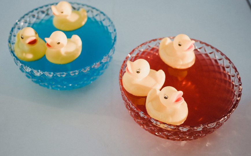 Boys and Girls Baby Reveal Punch Bowls