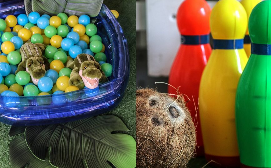 Crocodile ball pit and coconut bowling